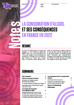 La consommation d alcool et ses cons quences en France en 2022